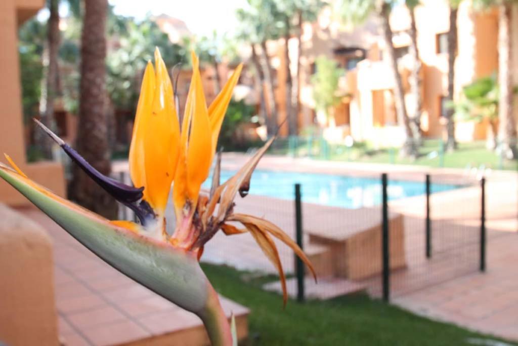 Casa Hermana Los Alcázares Dış mekan fotoğraf